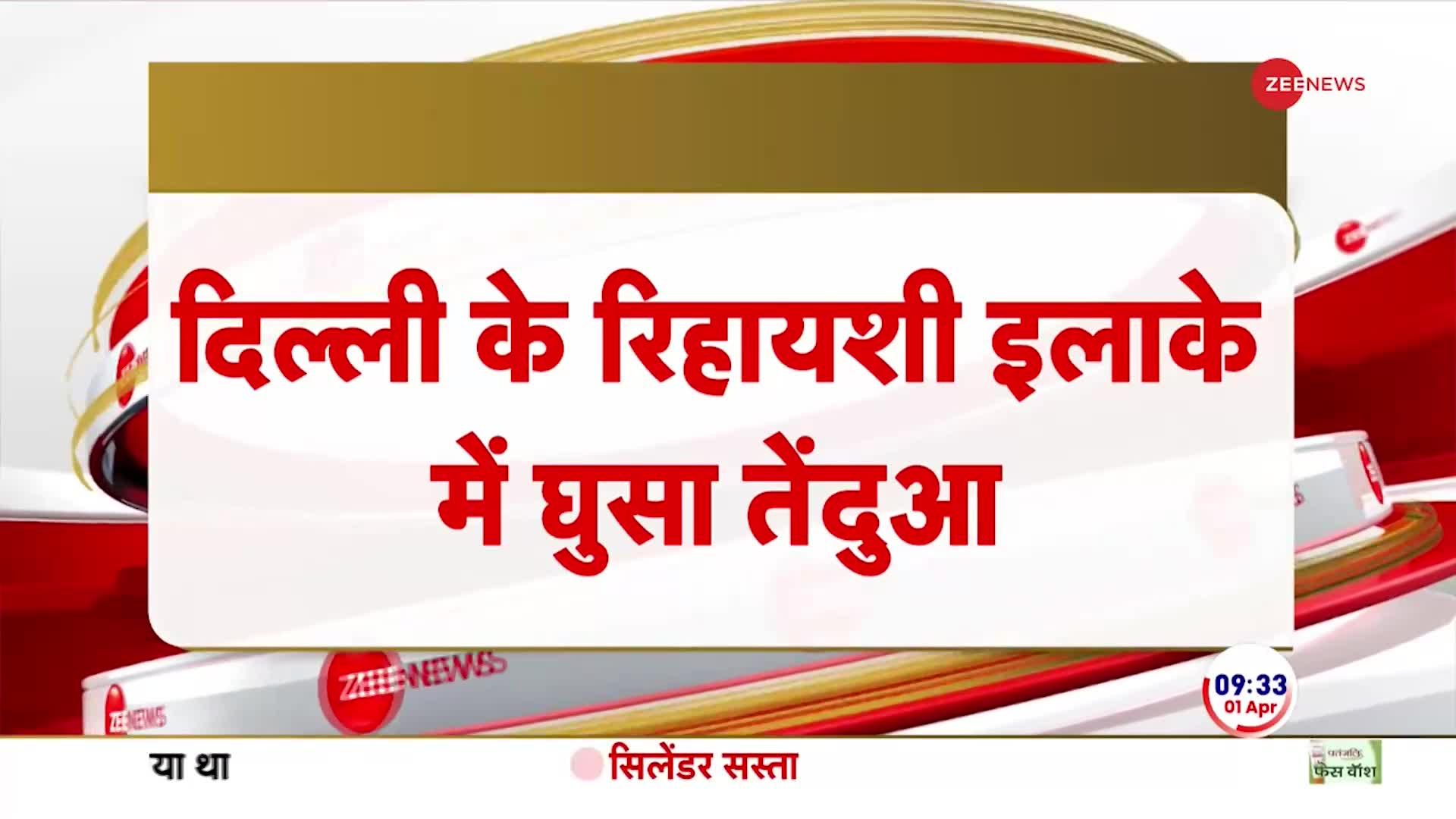 दिल्ली के जगतपुर में तेंदुए ने पांच लोगों पर हमला किया