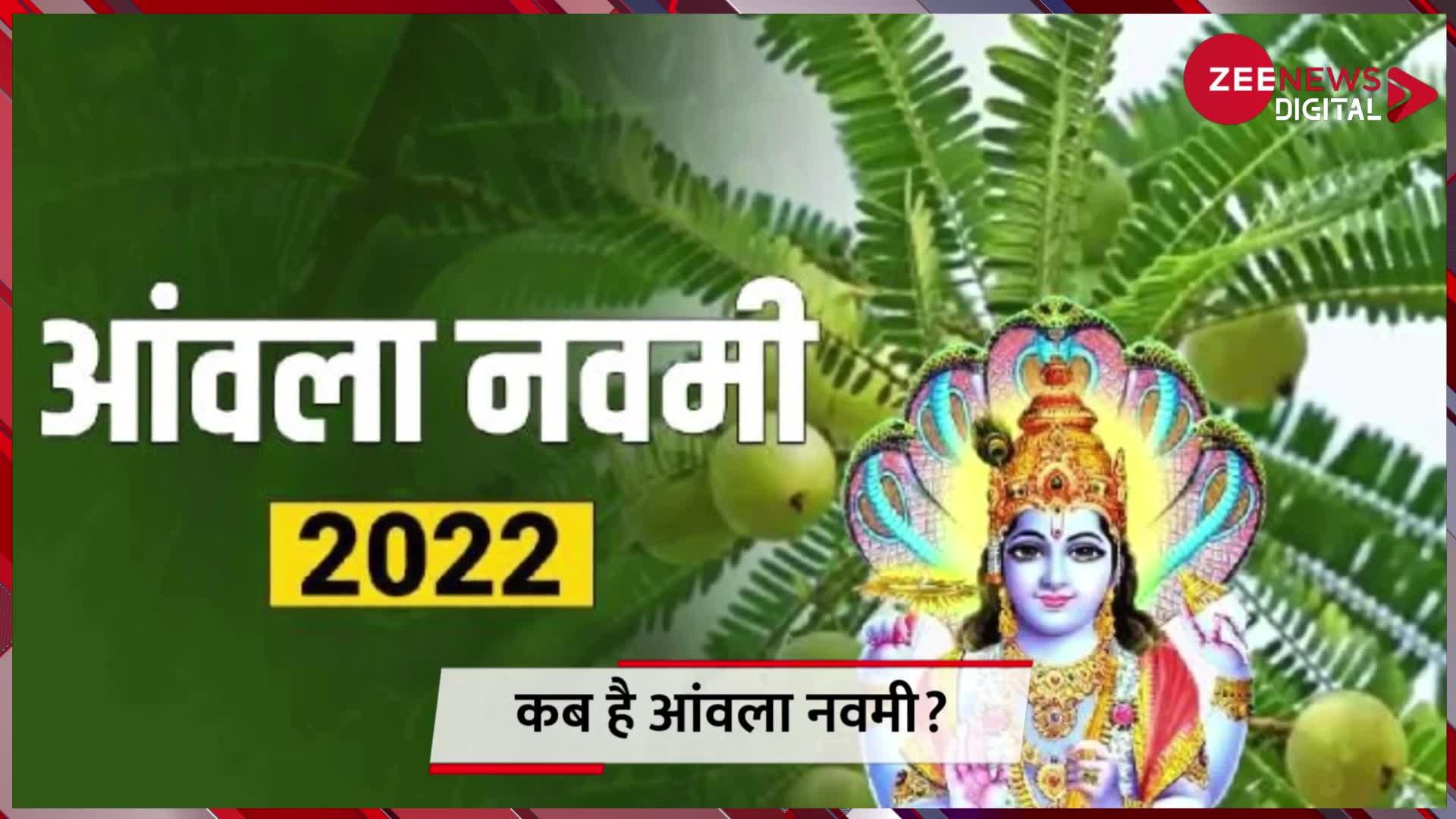 Amla Navami 2022: कल अक्षय नवमी पर जरूर करें ये एक काम, साल भर रहेंगे स्‍वस्‍थ, प्रसन्‍न और संपन्‍न!