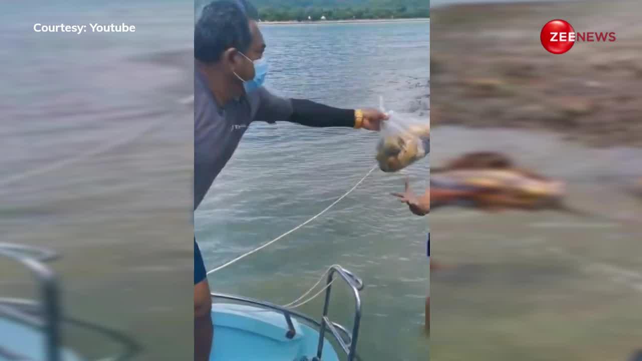 बीच पर घुसा बंदरों का झुंड, अचानक किया ऐसा काम डर के मारे भागने लगे लोग