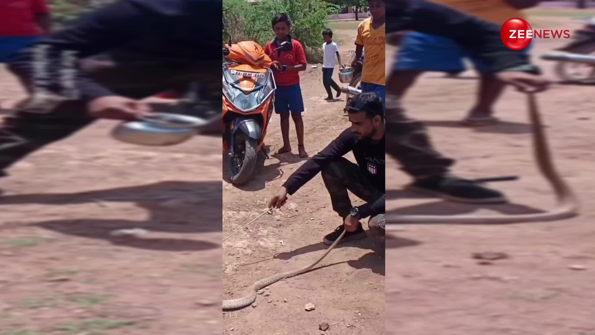 भरी गर्मी में शख्स से प्यासे King Cobra को पिलाया पानी फिर किया ऐसा काम, देख शॉक्ड रह गए यूजर्स