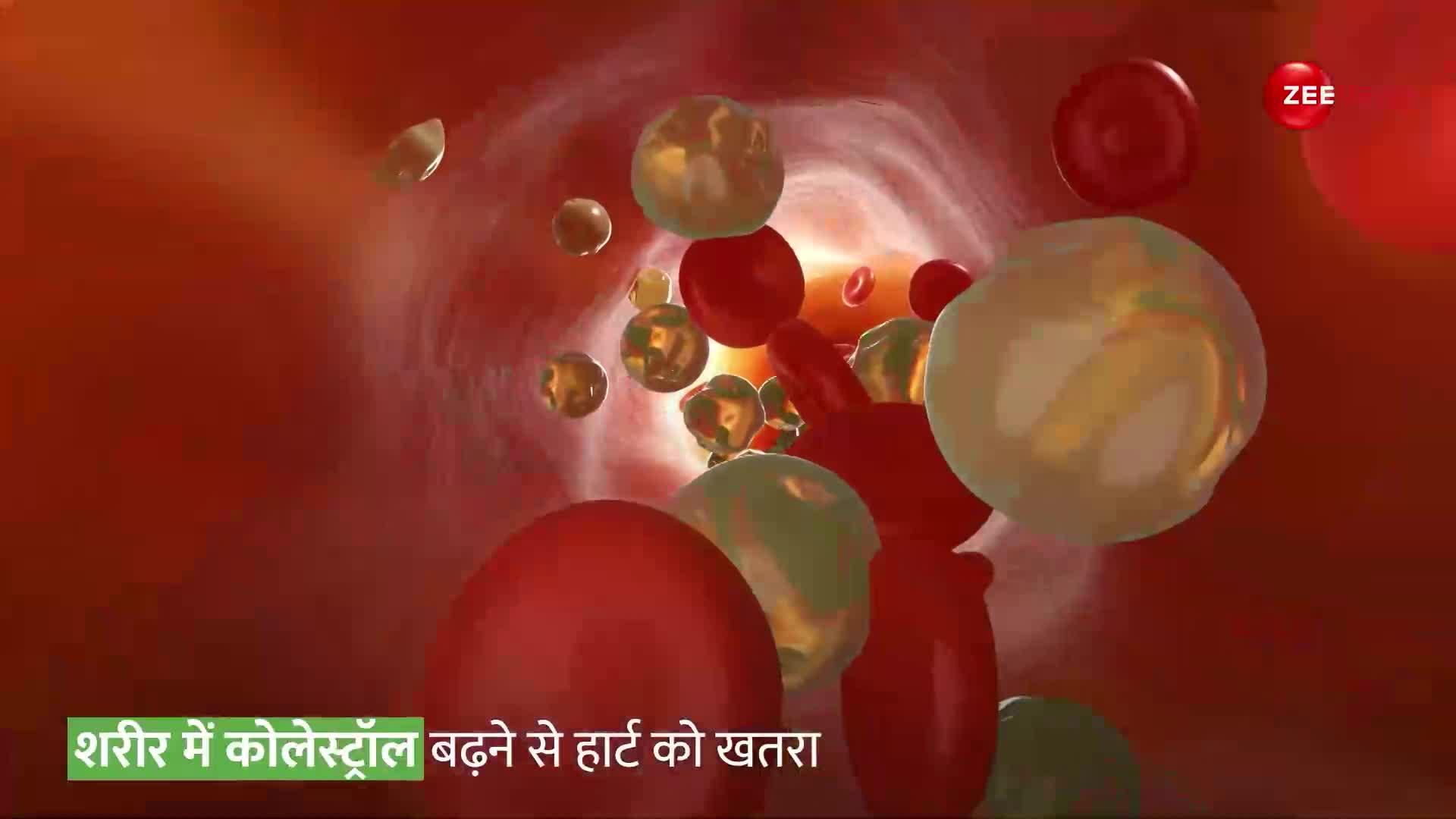 शरीर में कब Cholesterol आपके लिए घातक बन जाता है?