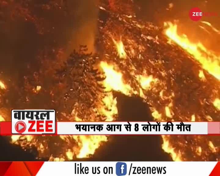 VIRAL Zee : कैलीफोर्निया के जंगलों में भीषण आग, सरकार ने लागू  किया आपातकाल