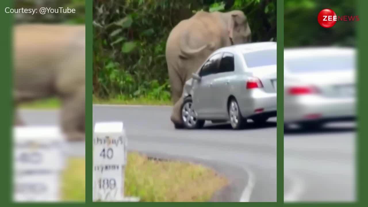 हाथी ने चलती कार पर दिखाया गुस्सा, कभी टायर तोड़ने लगा तो कभी बंपर पर जा बैठा; देख लोग बोले- भाई इन्श्योरेन्स भूल जा तू...