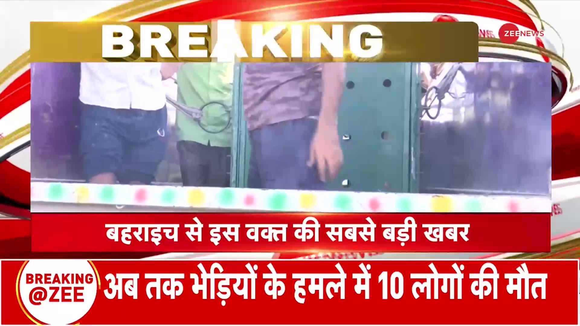 Bahraich Bhediya Search Operation Update: पकड़े जाने के बाद कैसे दिख रहा भेड़िया?