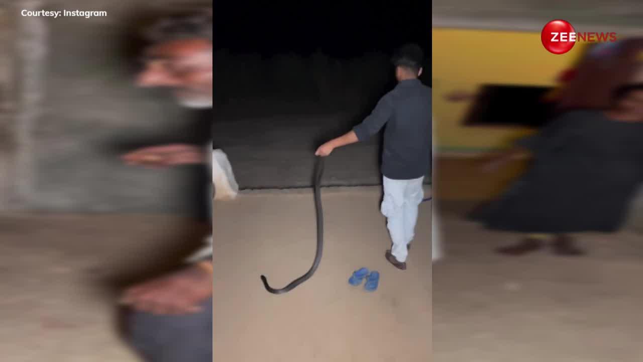 King Cobra: रसोई में रखी संदूक के पीछे छिप गया किंग कोबरा, रेस्क्यूअर के काबू में भी नहीं आया...