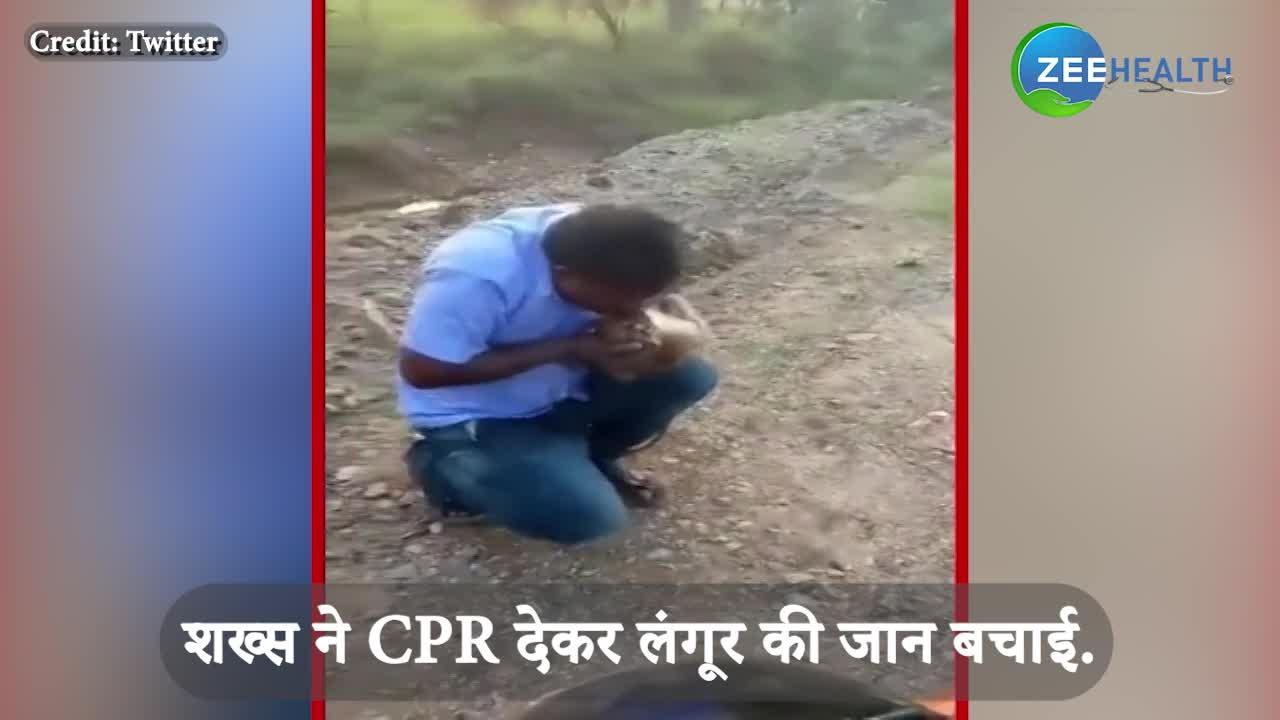 CPR देकर बचाई लंगूर के बच्चे की जान, 8 लाख बार देखा जा चुका है ये Video