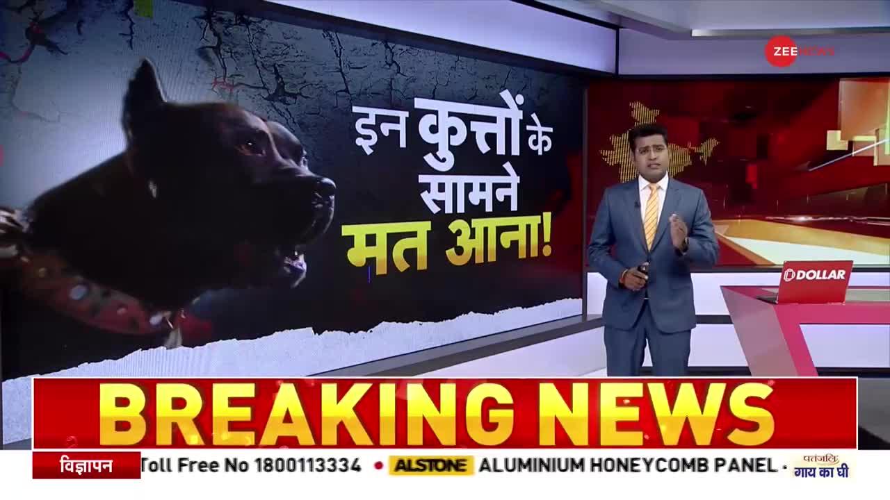 Dog Attacks: देश के कई राज्यों में आवारा कुत्तों का आतंक