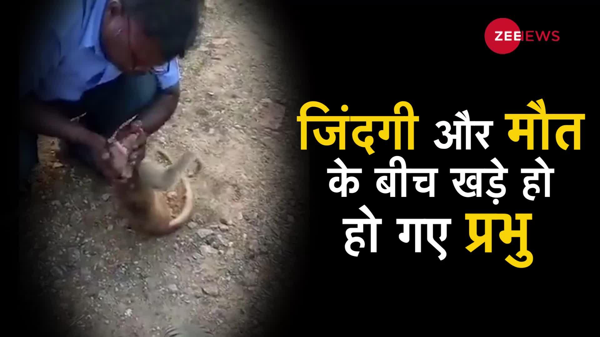 ...और हो गया चमत्कार, प्रभु ने खुद बचाई नवजात की जान, Emotional कर देने वाला Video