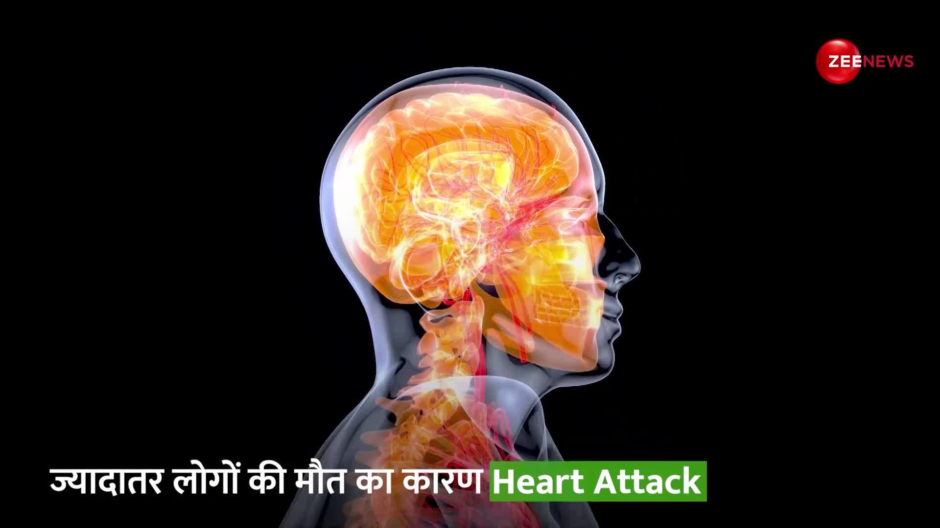 इन चीजों को खाकर अपने Heart ना करें Unfit, ऐसे रखें खुद को Fit