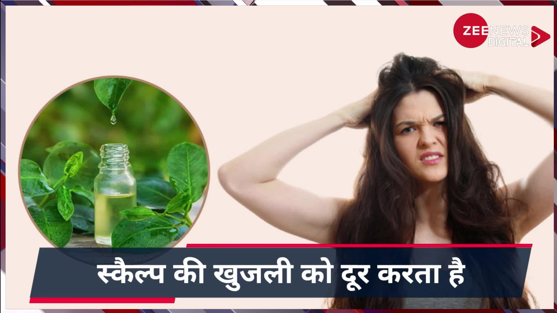 Hair Care Tips: बालों में लगाएं इस तरह से तेल, kirara advani की तरह हो जाएंगे घने बाल