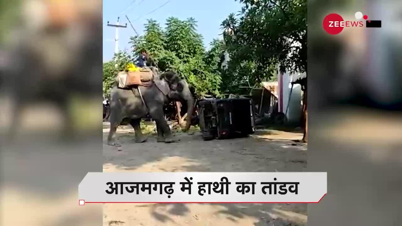 हाथी के तांडव से मच गया यहां त्राहिमाम !