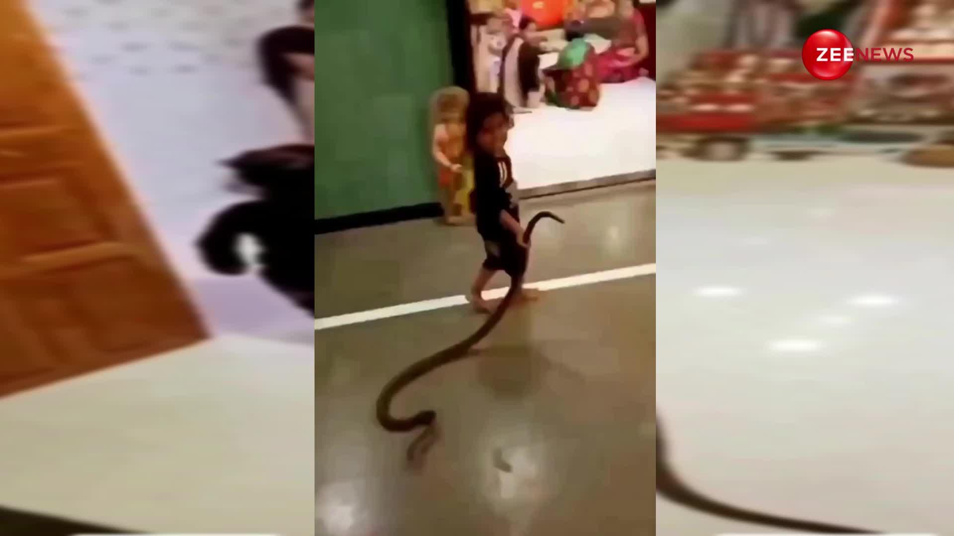 पड़ोसी से परेशान होकर उनके घर पर King Cobra छोड़ आया 3 साल का नटखट बच्चा