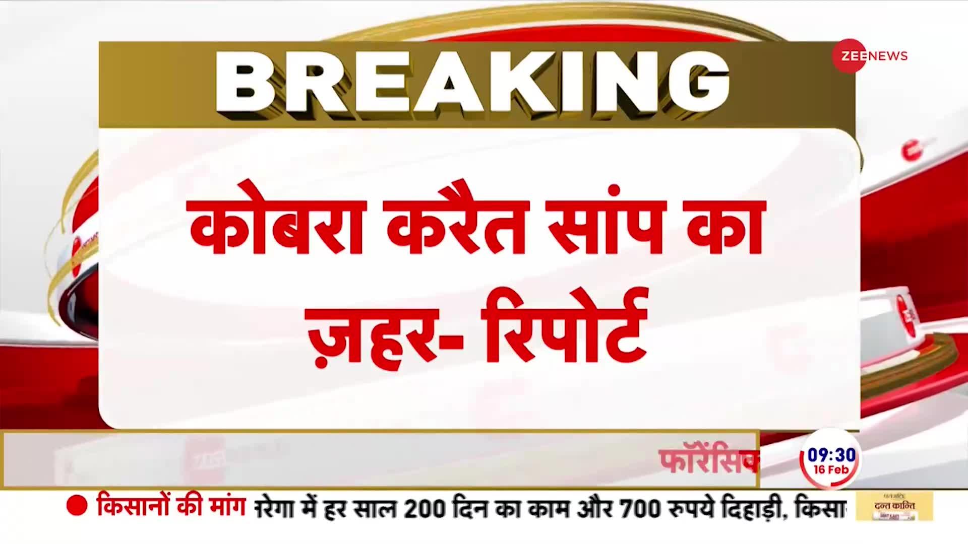 Elvish Yadav Case: रेव पार्टियों में सांपों का जहर, FSL जांच में हुआ बड़ा खुलासा Breaking News