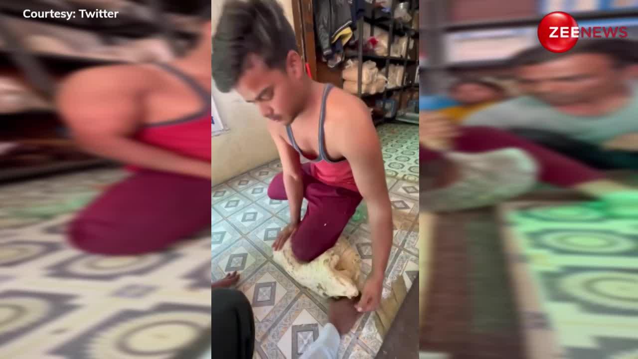 Viral Video: ऐसे बनती है काजू और पिस्ता की गजक, वीडियो देख लिया तो छुएंगे भी नहीं; इंटरनेट पर हुआ वायरल