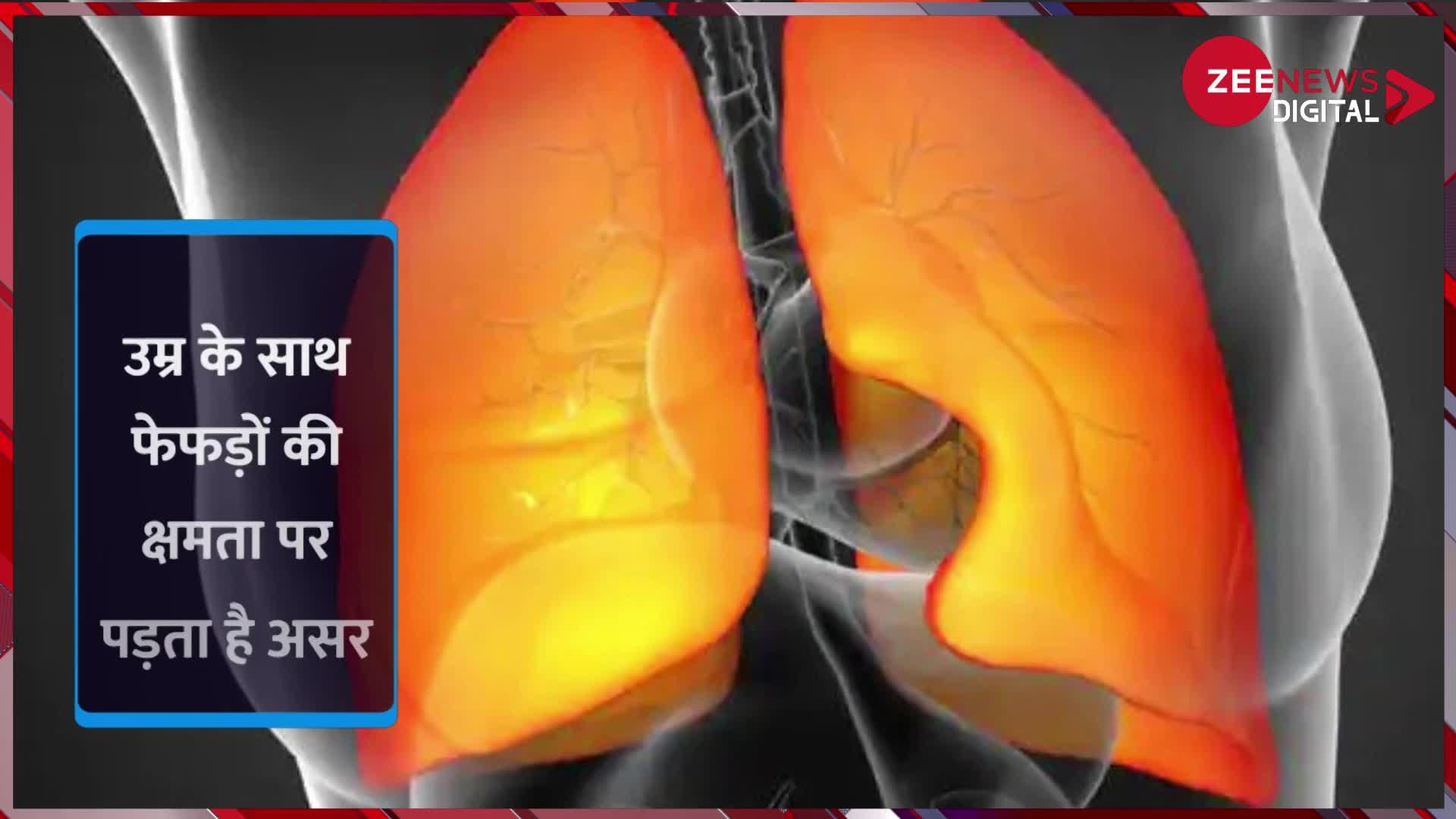 Healthy food for lungs: आपके फेफड़ों को मजबूत करेंगे ये 6 खास फूड्स