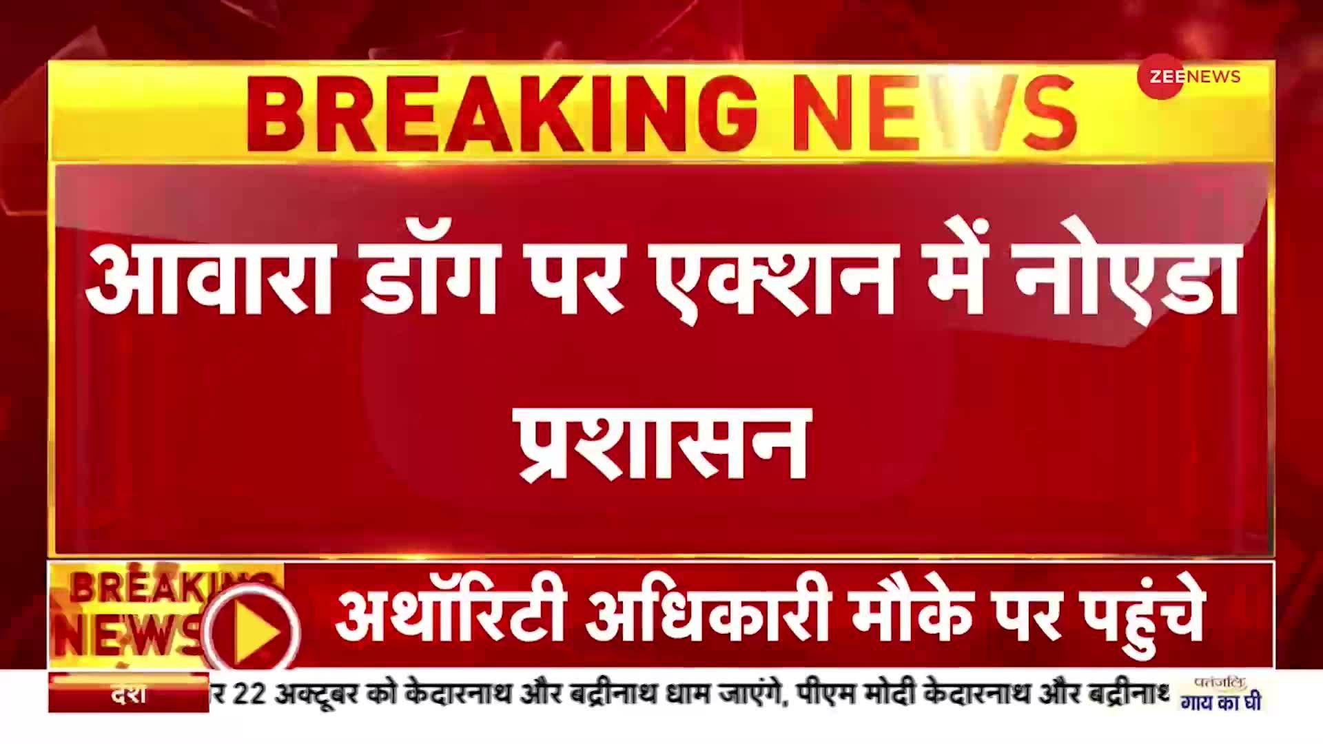 Dog Attack: कुत्ते से प्यार, तो हमले का कौन जिम्मेदार?