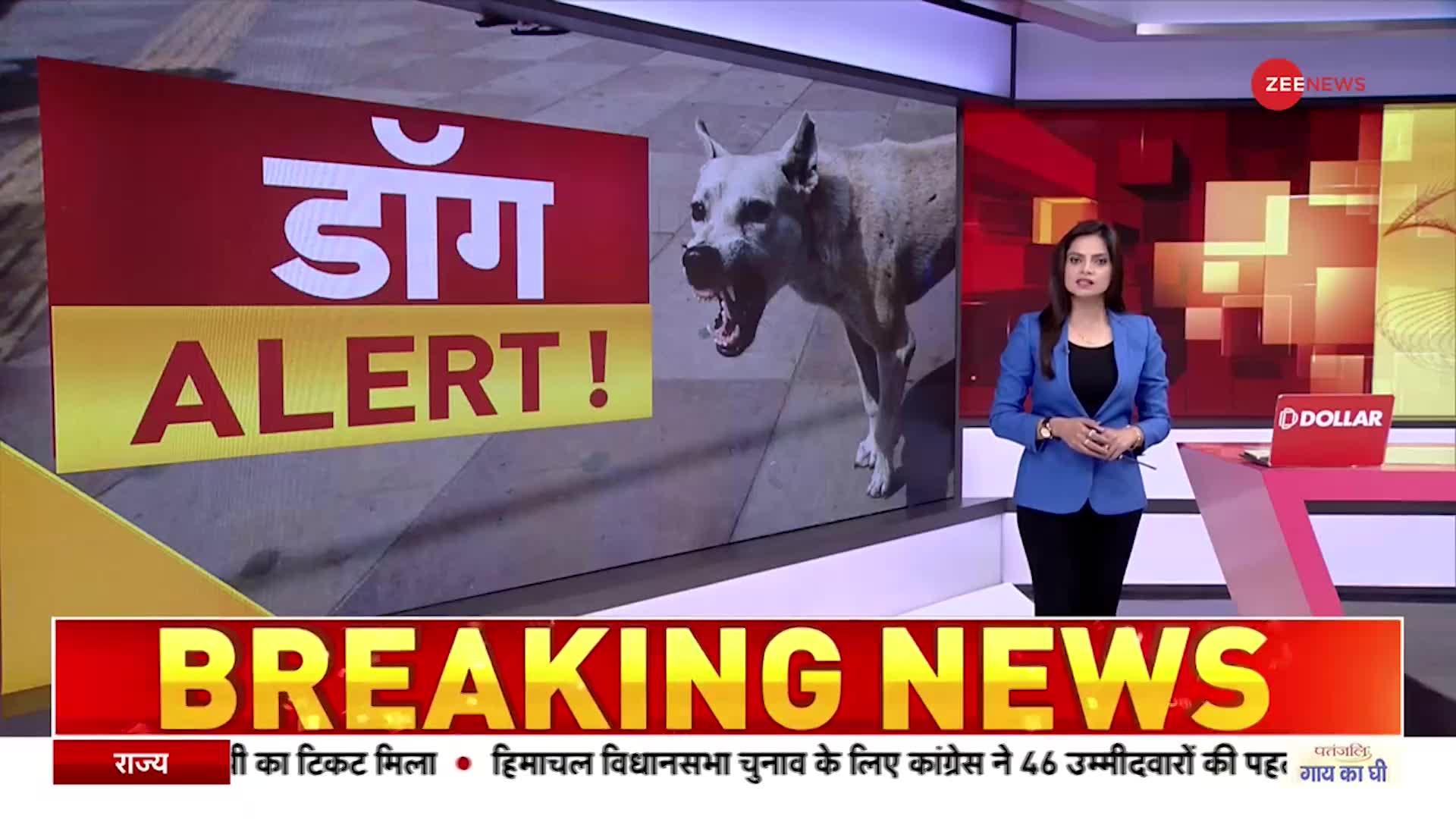 Dog Attack: आखिर कब रुकेगा 'डॉग्स का आतंक' ?