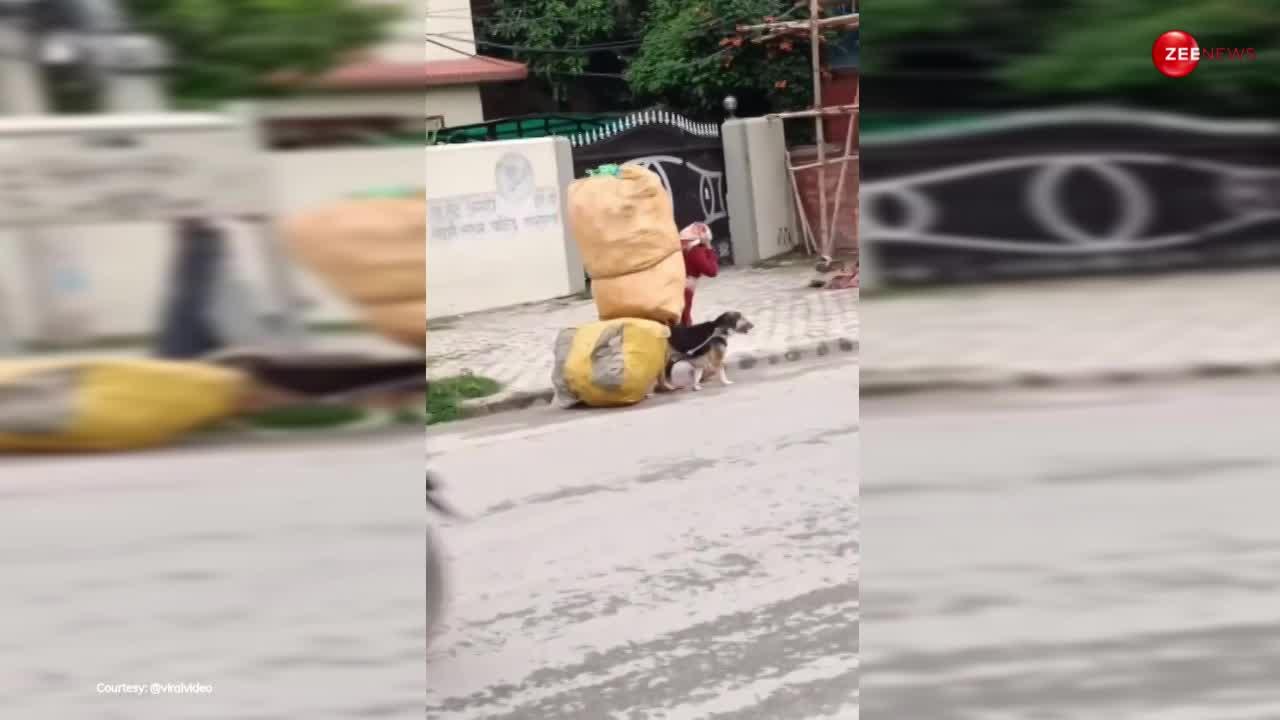 Dog Help Rag Picker: कुत्ते ने की कचरा उठाने वाली महिला की मदद, देख हैरान रह गए लोग