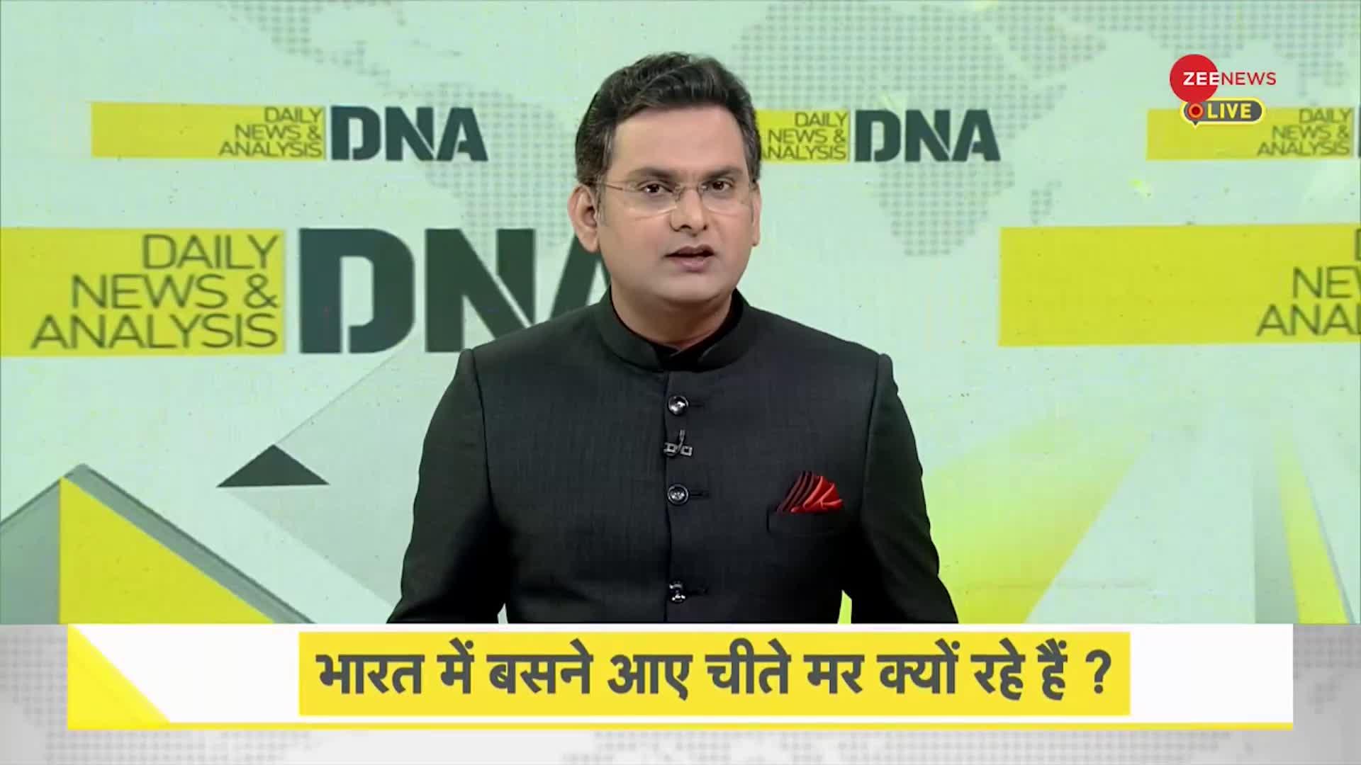 DNA: चार महीने में 8 चीतों की 'डेथ मिस्ट्री'