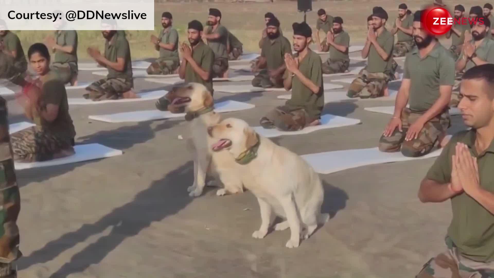 International Yoga Day 2024: सेना के जवानों संग डॉग स्क्वॉड ने किया योग, LOC से आई जोश से भर देने वाली तस्वीर