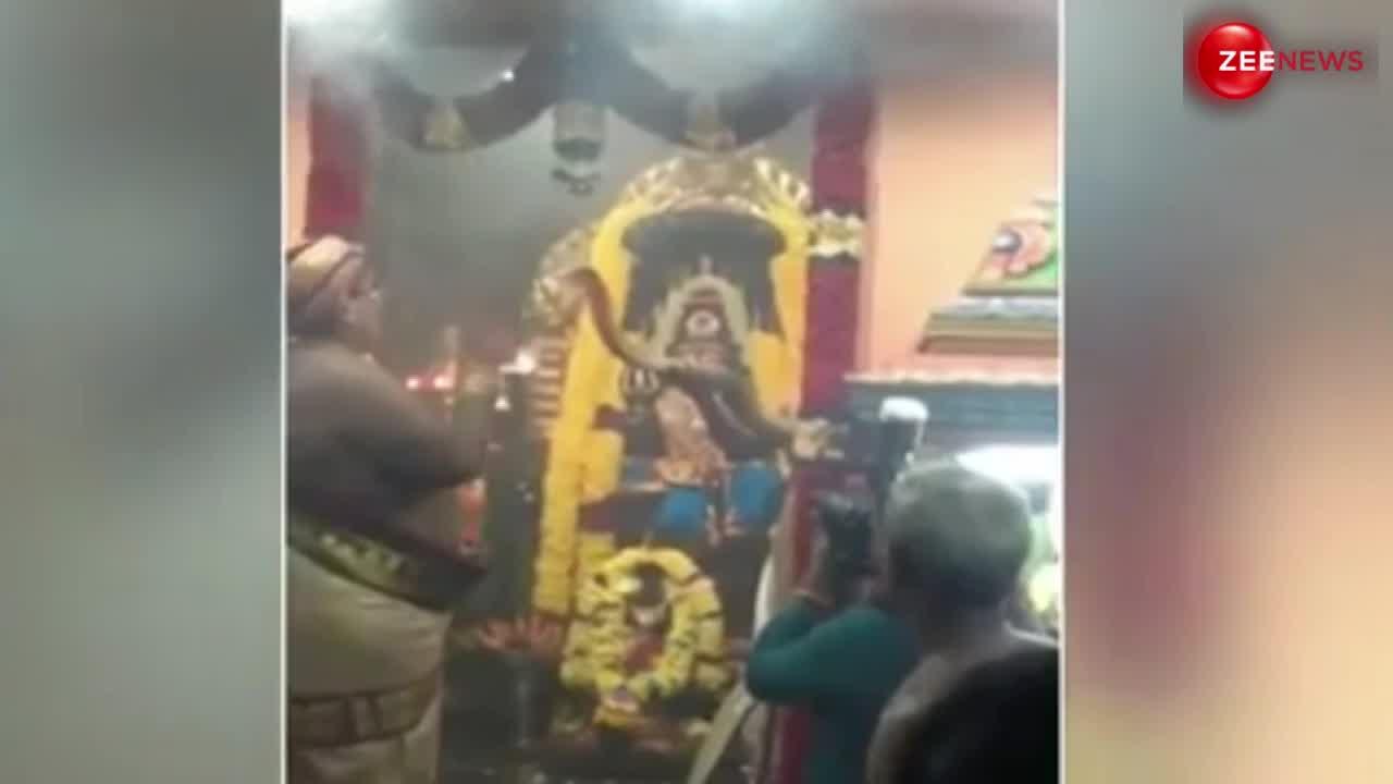 इस देश में होती है किंग कोबरा की पूजा, मंदिर की है खूब मान्यता