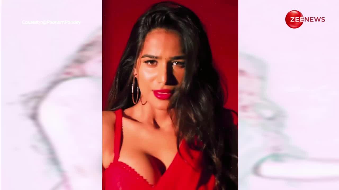 रेड साड़ी में बला की हसीना लग रही हैं Poonam Pandey, ऐसा हुस्न देख थम फैंस की सांसे