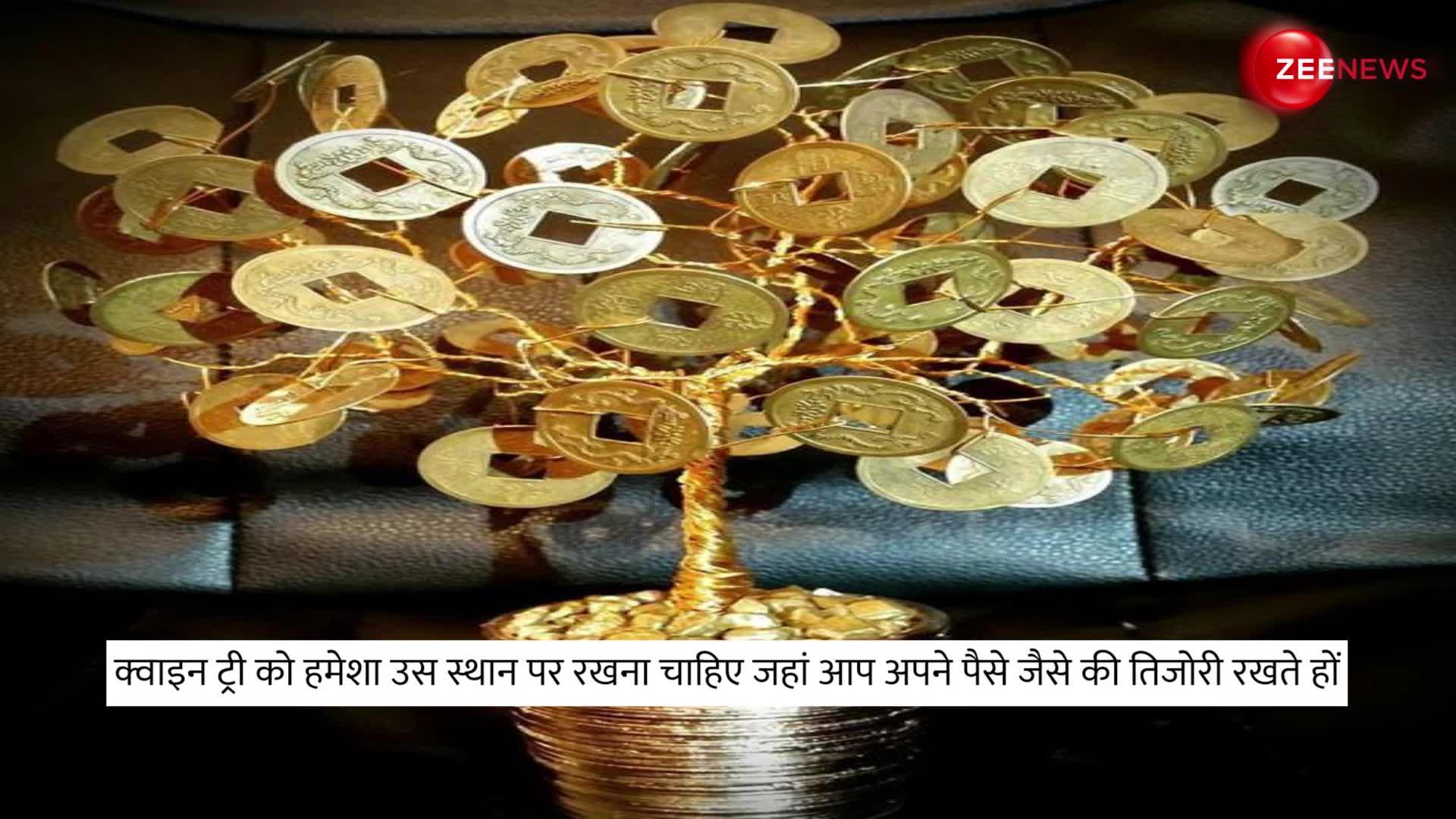 Coin Tree:  क्वाइन ट्री रखने से घर में दौड़ी चली आती है लक्ष्मी, खूब hogi पैसे की बरसात