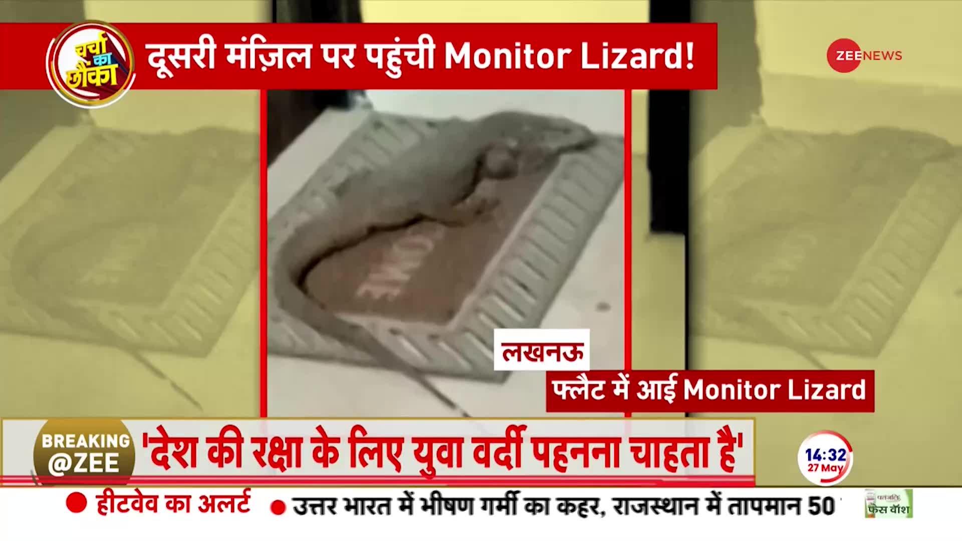 लखनऊ के रिहाइशी इलाके में पहुंची MONITOR LIZARD