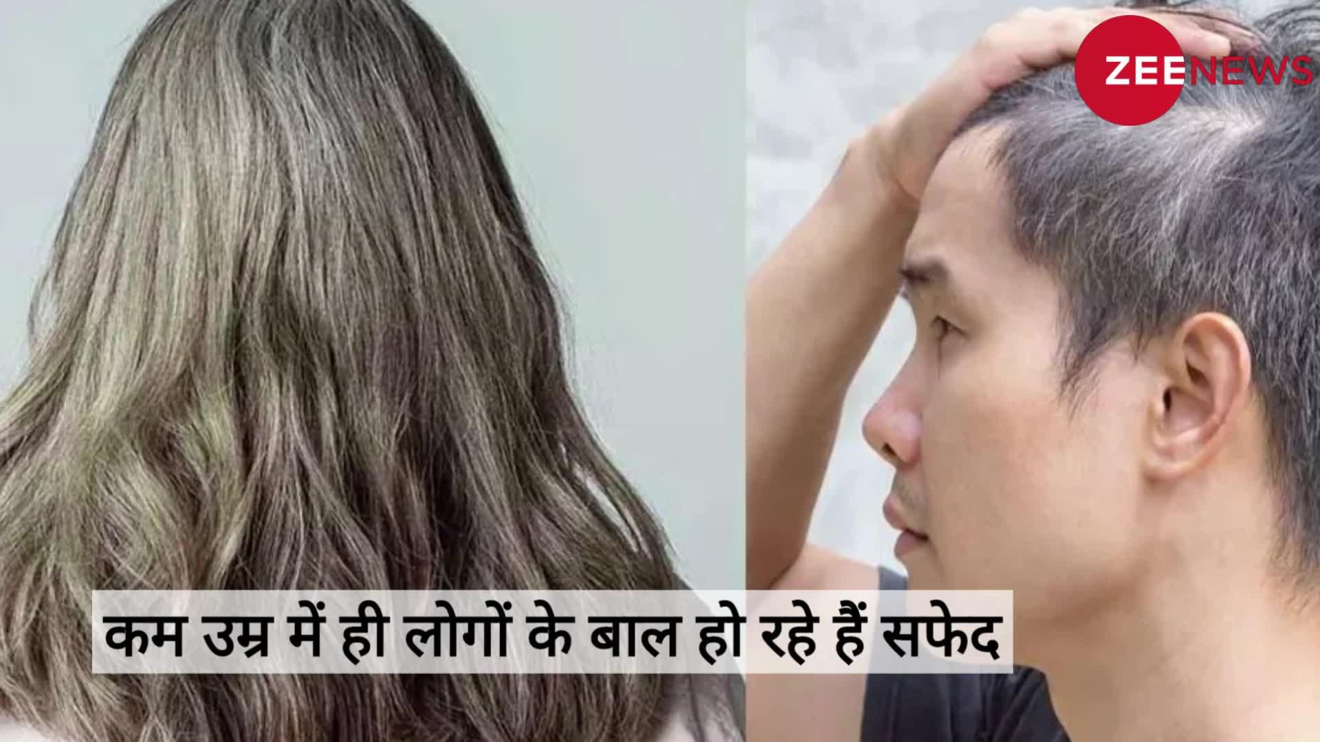 Tamarind Leaves For Premature White Hair: इमली की पत्तियों से दूर हो सकती है सफेद बालों की समस्या