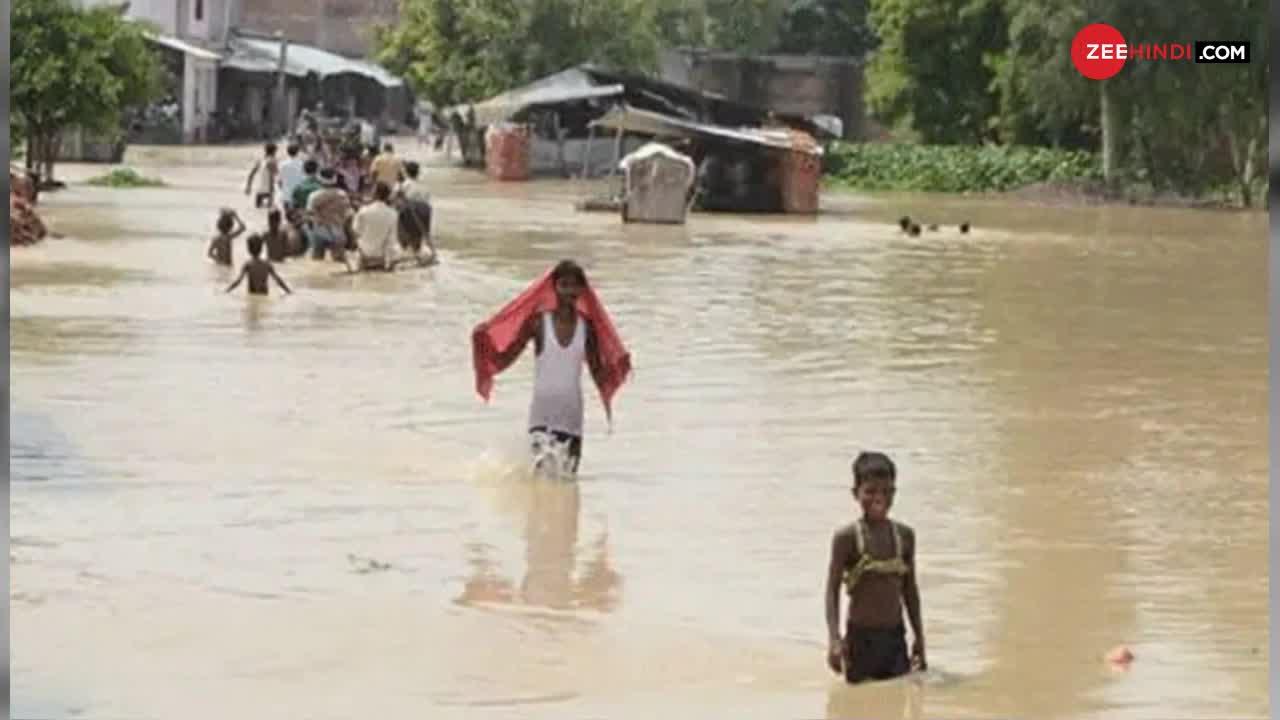 इन जानवरों के लिए जो बाढ़ कभी दोस्त थी, अब दुश्मन कैसे हो गई ?