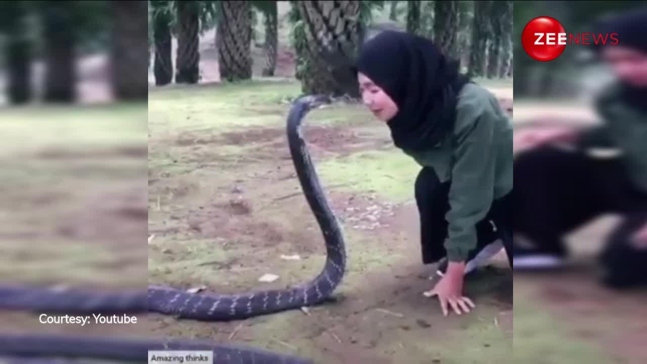 खुलेआम लड़की ने King Cobra को दे दिया Kiss, दोनों की केमिस्ट्री ने जीता यूजर्स का दिल