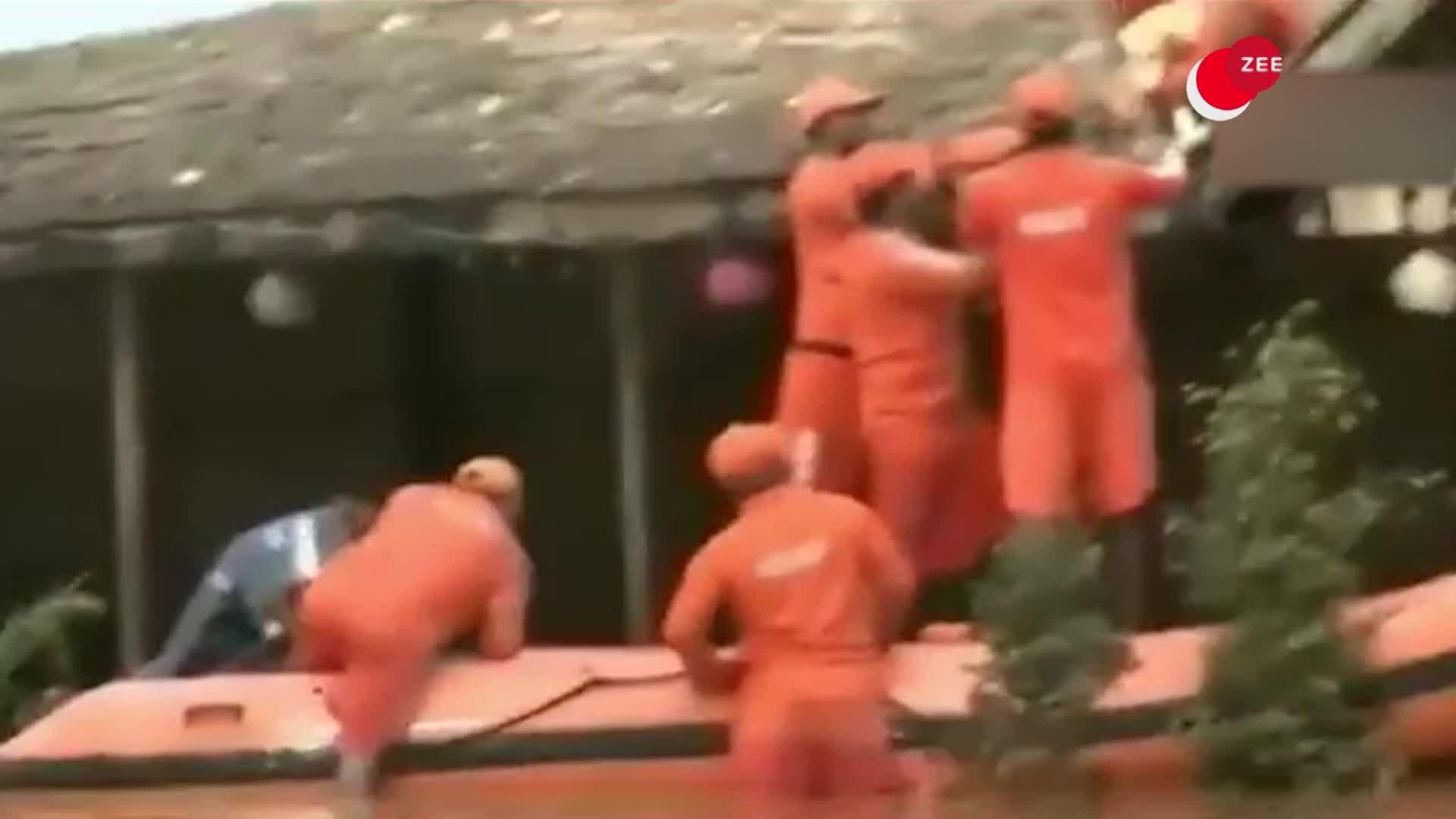 Video: NDRF फिर बनी देवदूत, बाढ़ के बीच से किया कुत्ते का रेस्क्यू