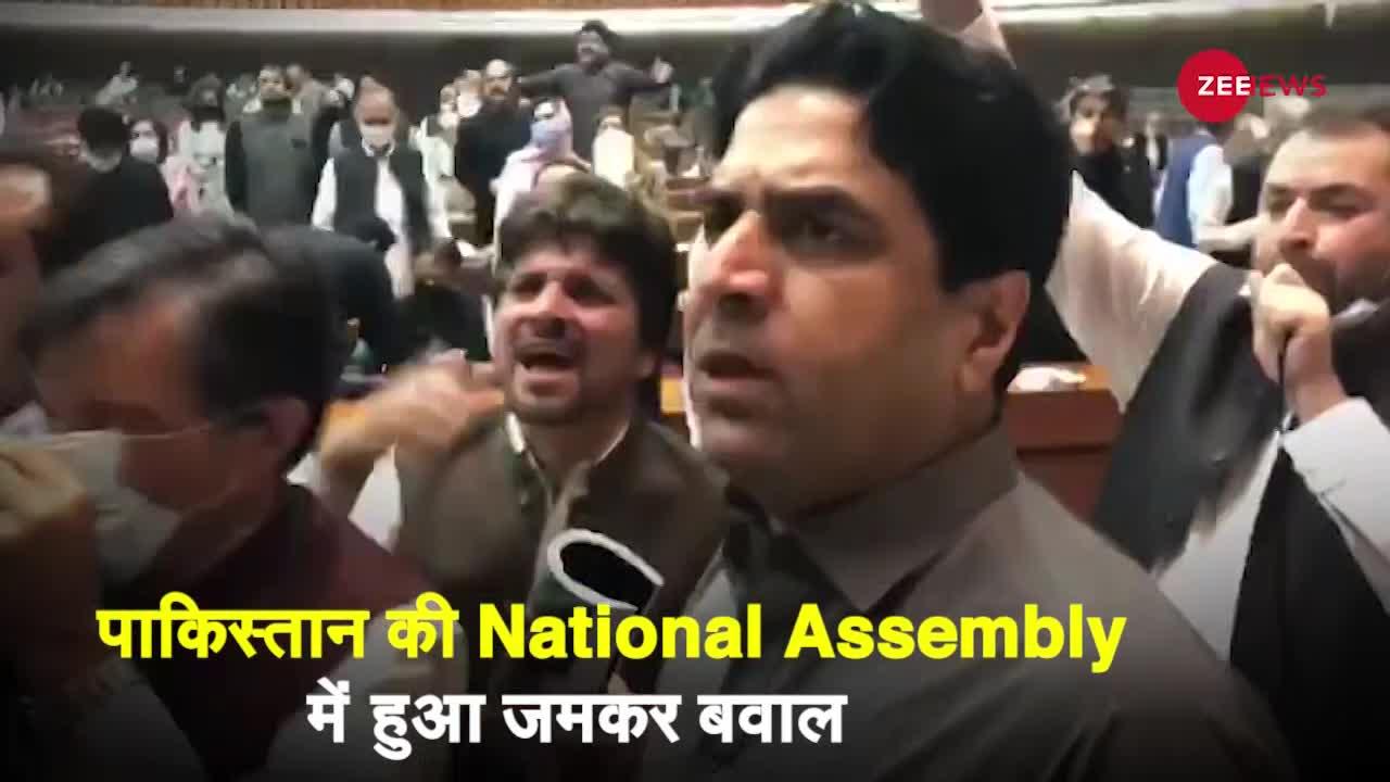 Pakistan Assembly Video: Pakistan असेंबली बनी चिड़ियाघर, ये Video अपने रिस्क पर देखें