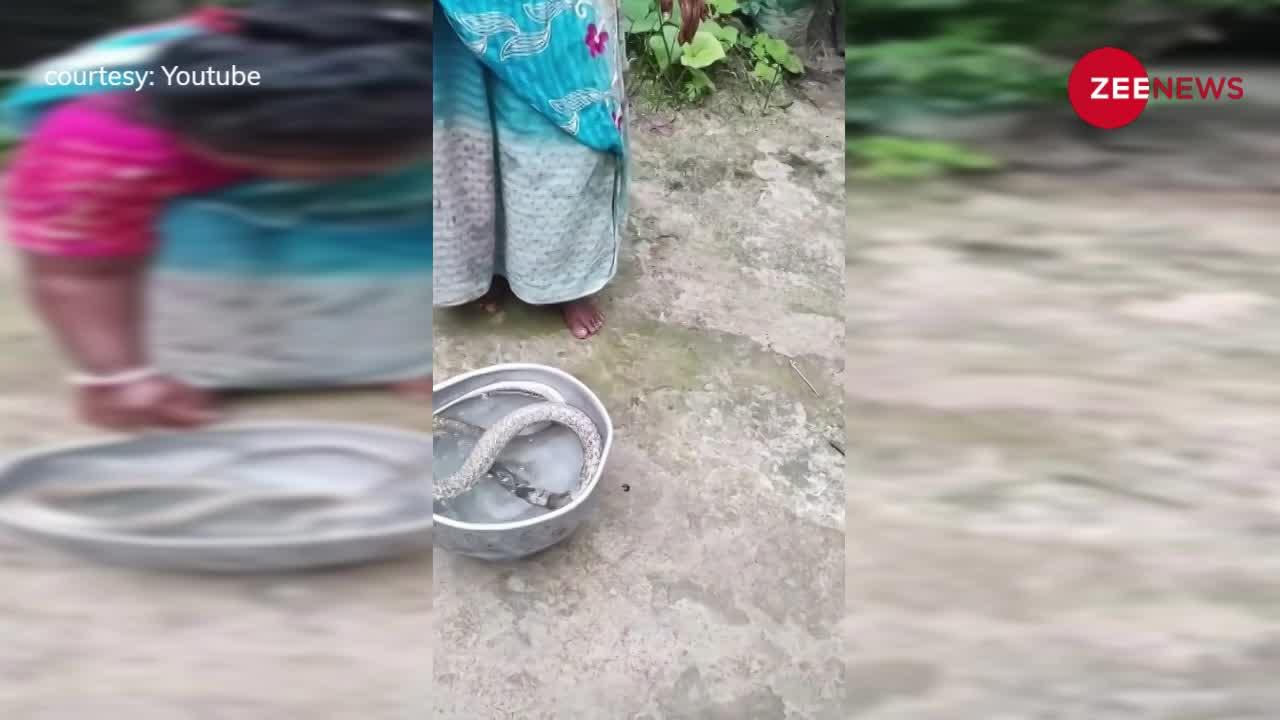 सांप को बेटे की तरह नहलाने लगीं Aunty, देखने वालों की फटी रह गई आंखें!