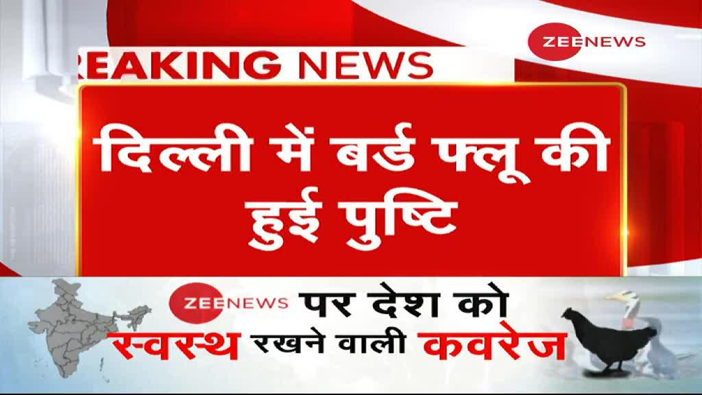 दिल्ली में 8 पक्षियों की बर्ड फ्लू से मौत से पुष्टि, 8 और राज्यों में फैला बर्ड फ्लू