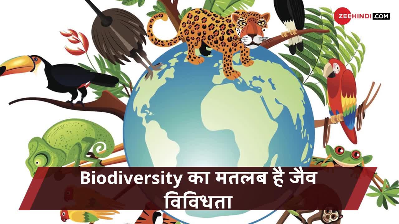 इस साल World environment day की थीम है बेहद खास