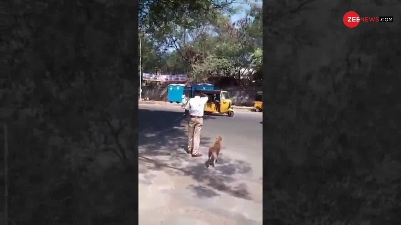 VIRAL VIDEO : बेजुबान को सड़क पार कराने के लिए पुलिसकर्मी ने रोका पूरा ट्रैफिक