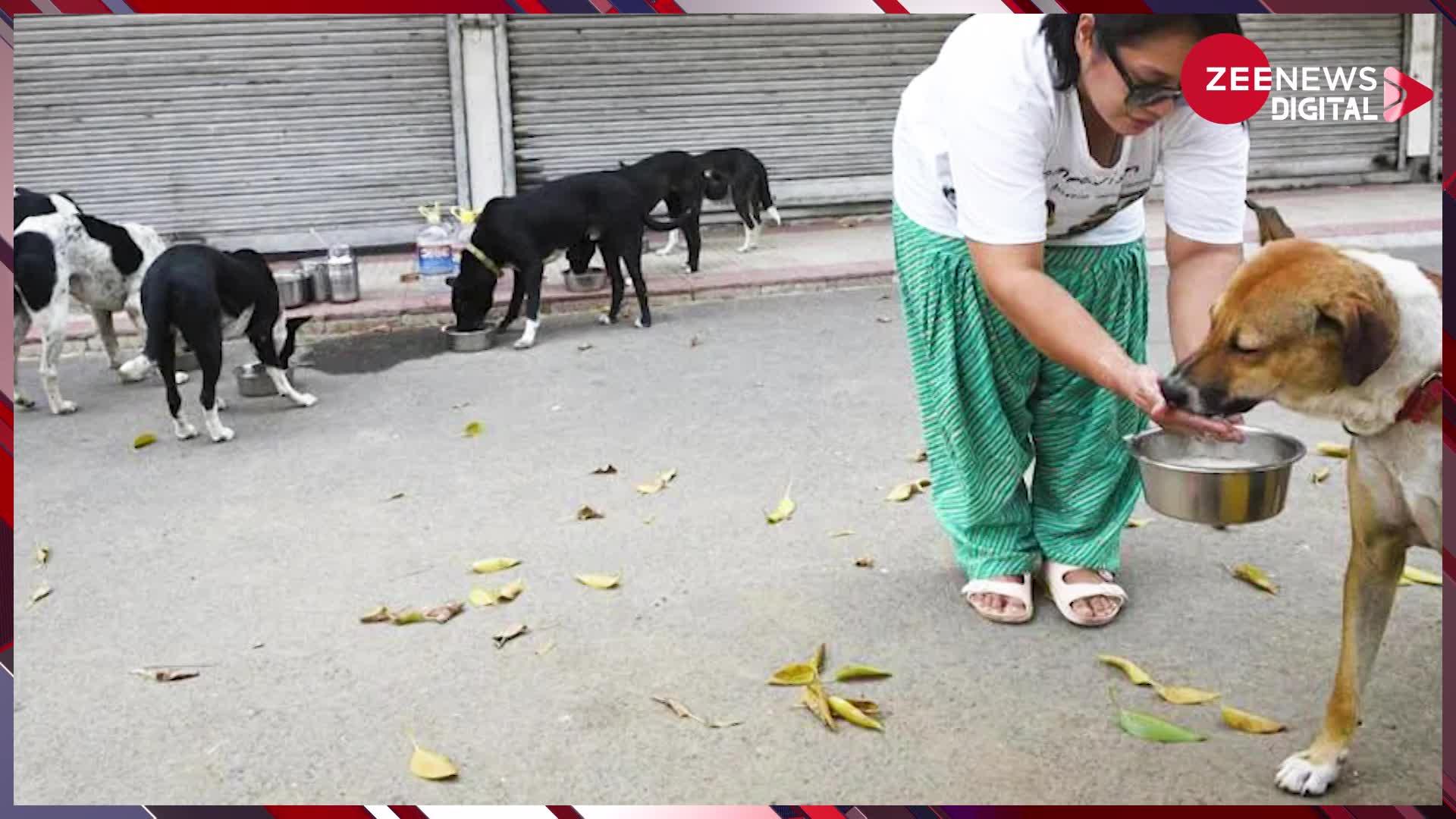 MP में खुला 'Doggy Dhaba', मात्र इतने रुपये में दे रहा फूड के ढेर सारे ऑप्शन